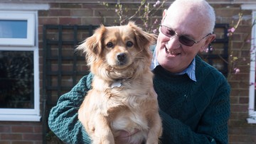 DIAMOND DOG: Mabel the dog might be wearing some bling in the near future