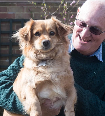 DIAMOND DOG: Mabel the dog might be wearing some bling in the near future
