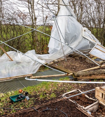 Out of bounds - gardens severely damaged after storm-force winds