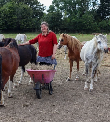 GIDDY UP: Cecil's Horse Sanctuary received a vital funding boost